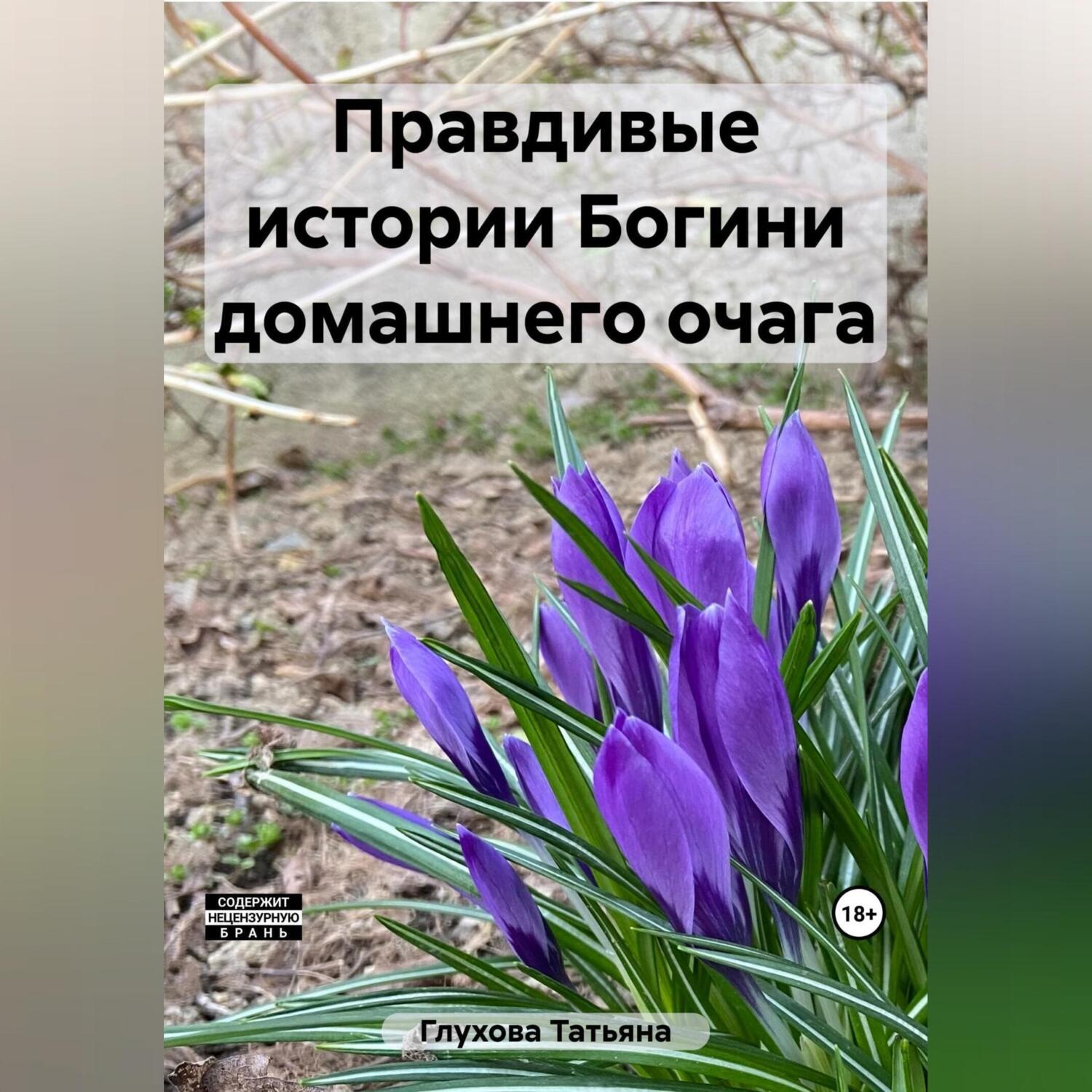 Обложка книги «Правдивые истории Богини домашнего очага»