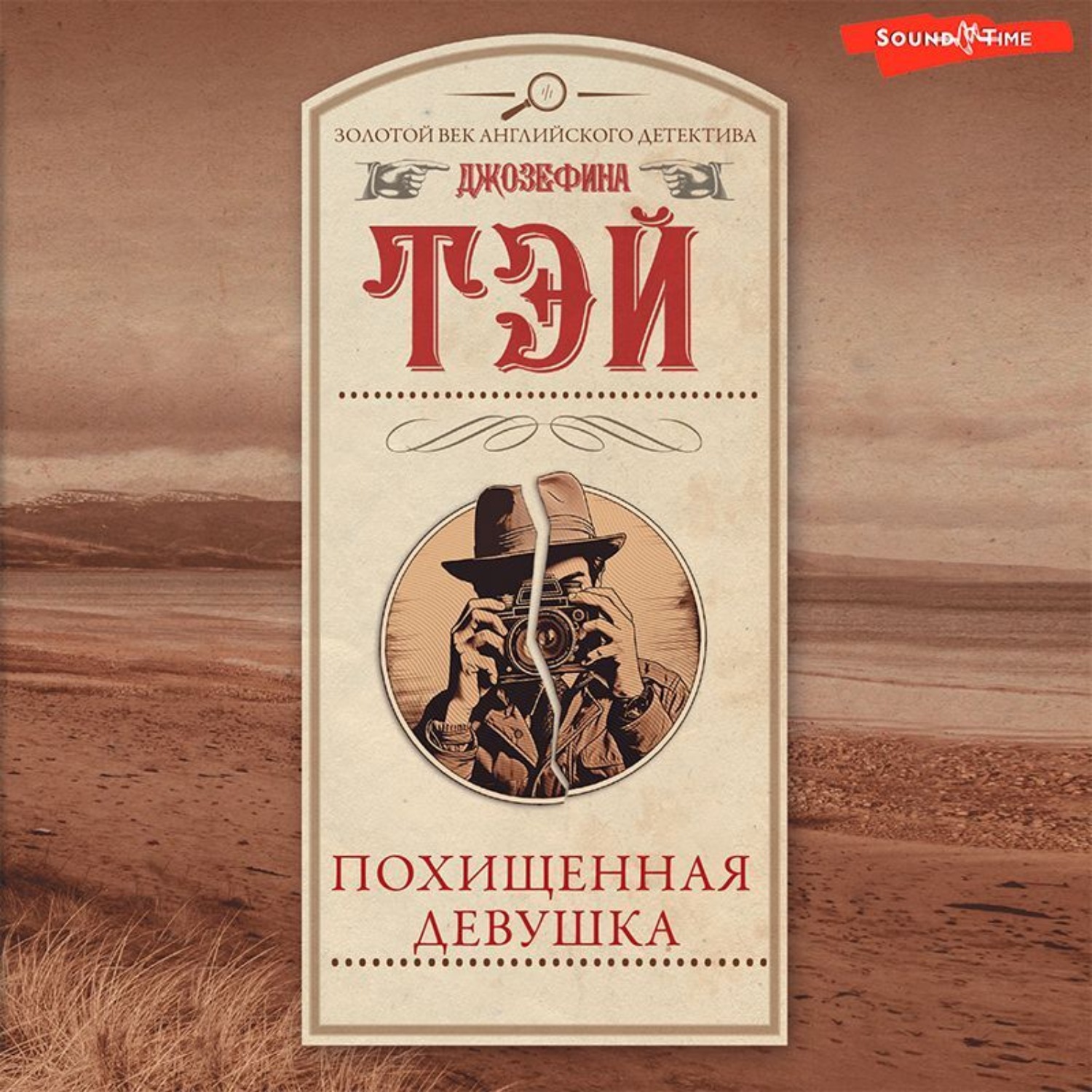 Обложка книги «Похищенная девушка»