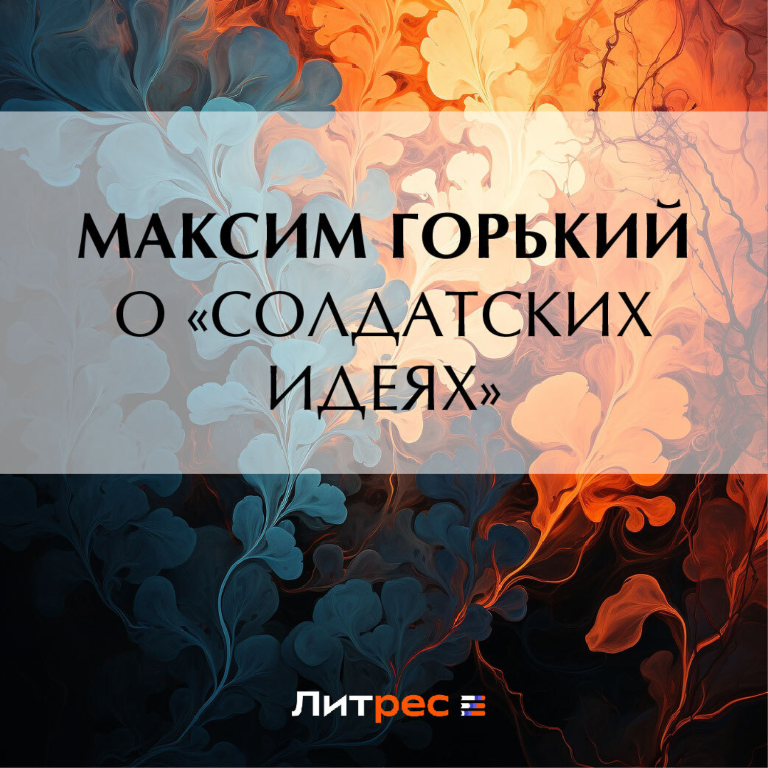Обложка книги «О «солдатских идеях»»
