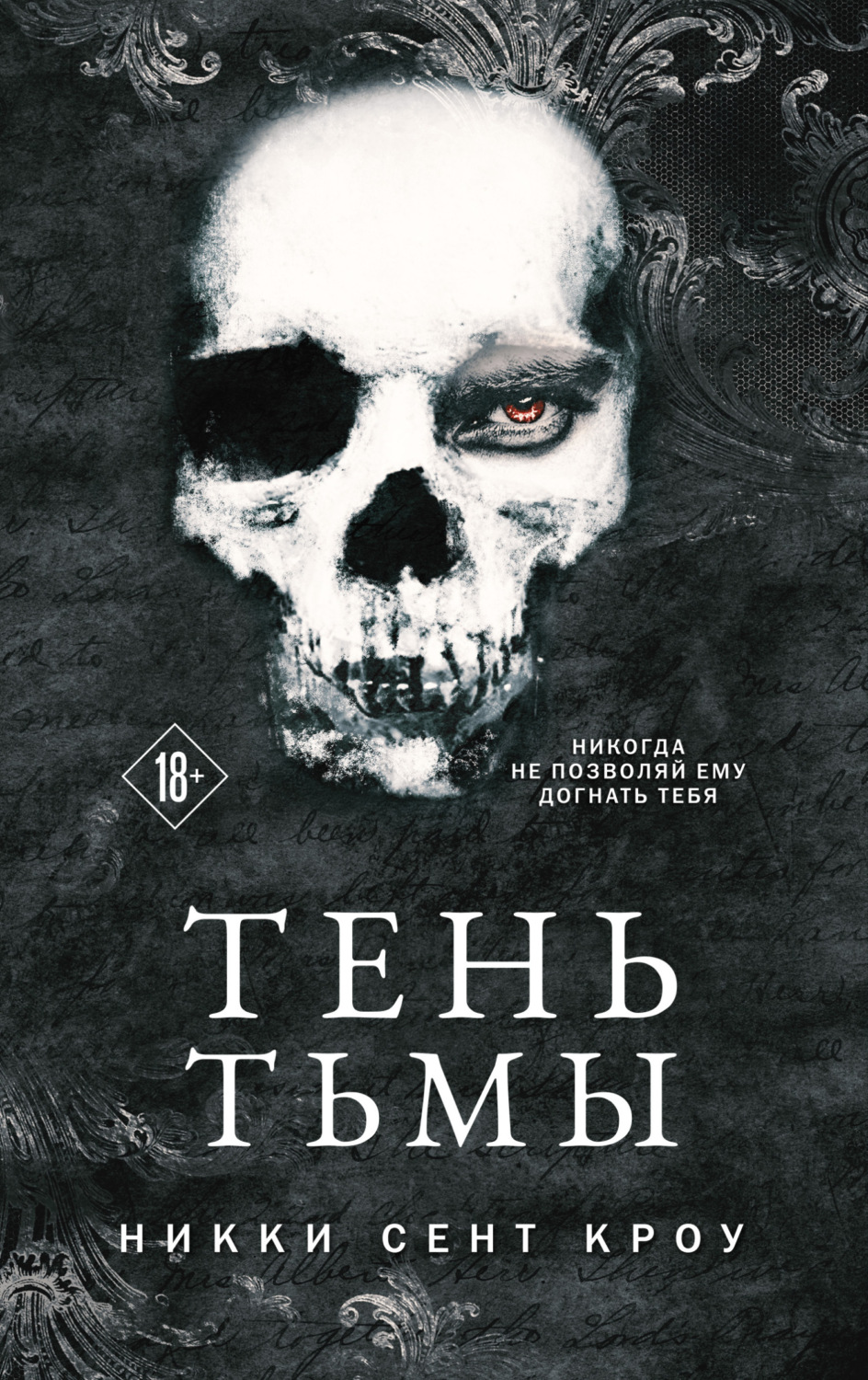 Обложка книги «Тень Тьмы»