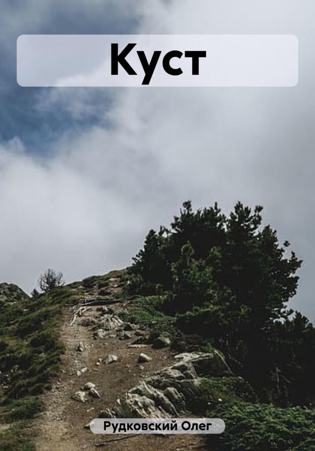 Обложка книги «Куст»