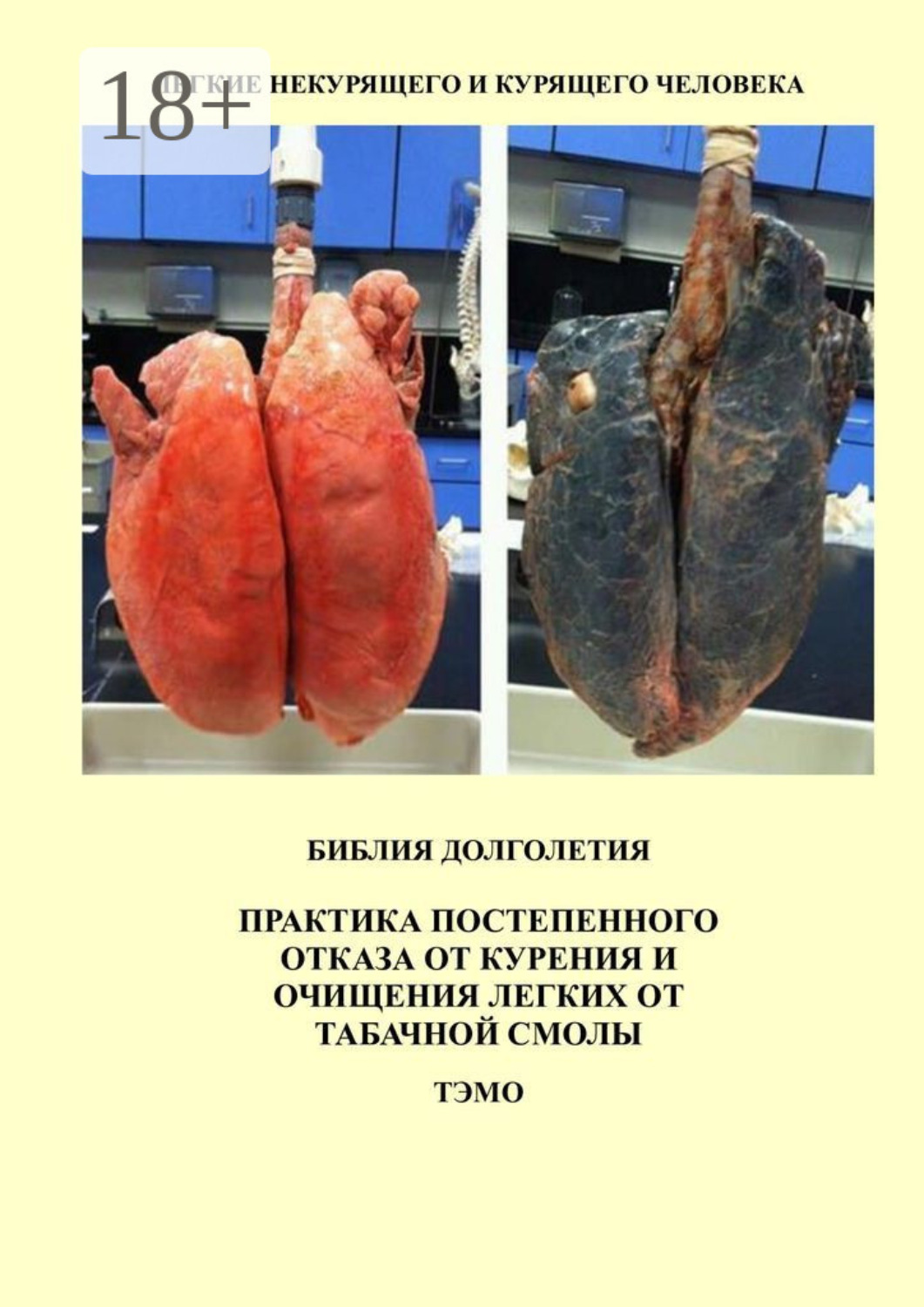Обложка книги «Практика постепенного отказа от курения и очищения легких от табачной смолы»