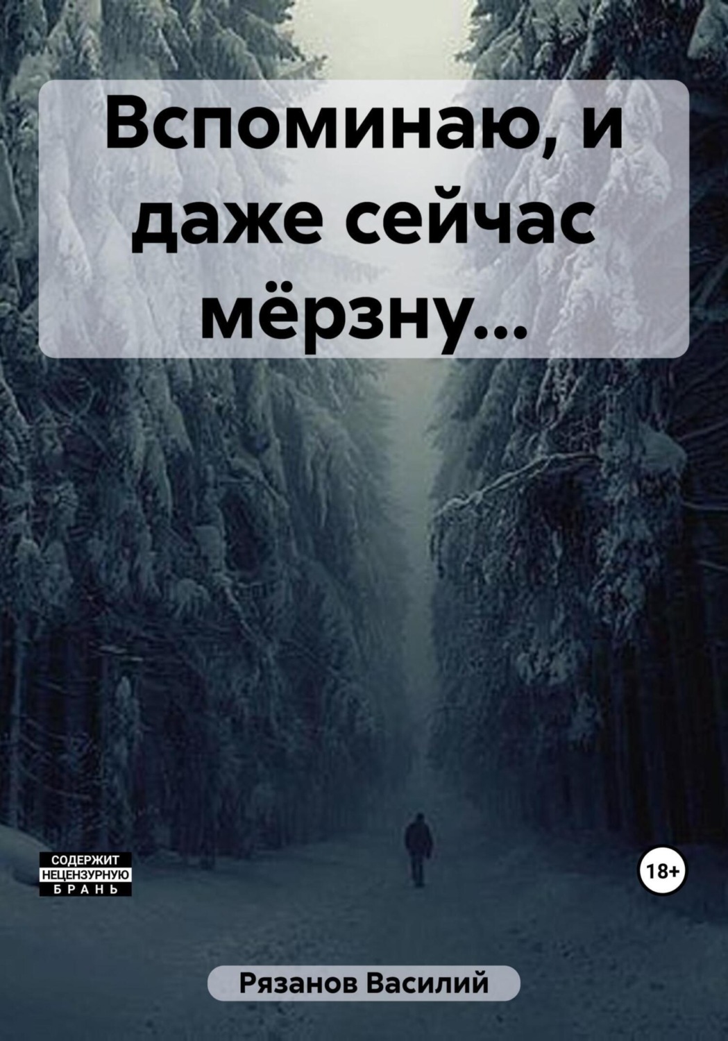 Обложка книги «Вспоминаю, и даже сейчас мёрзну…»