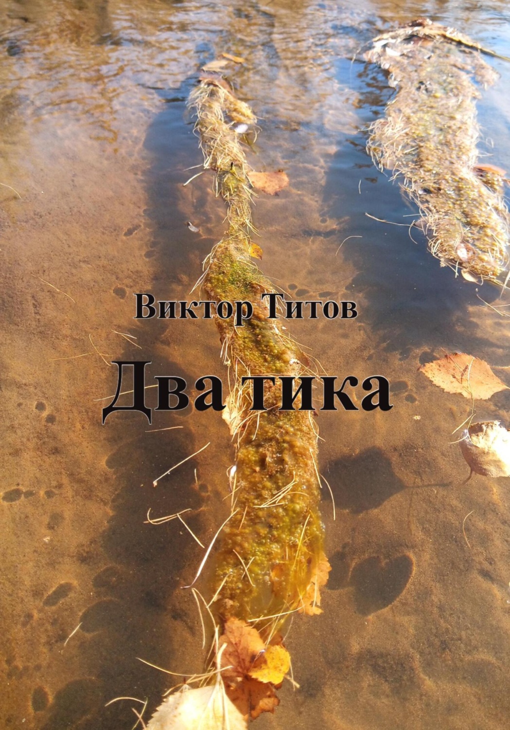 Обложка книги «Два тика»