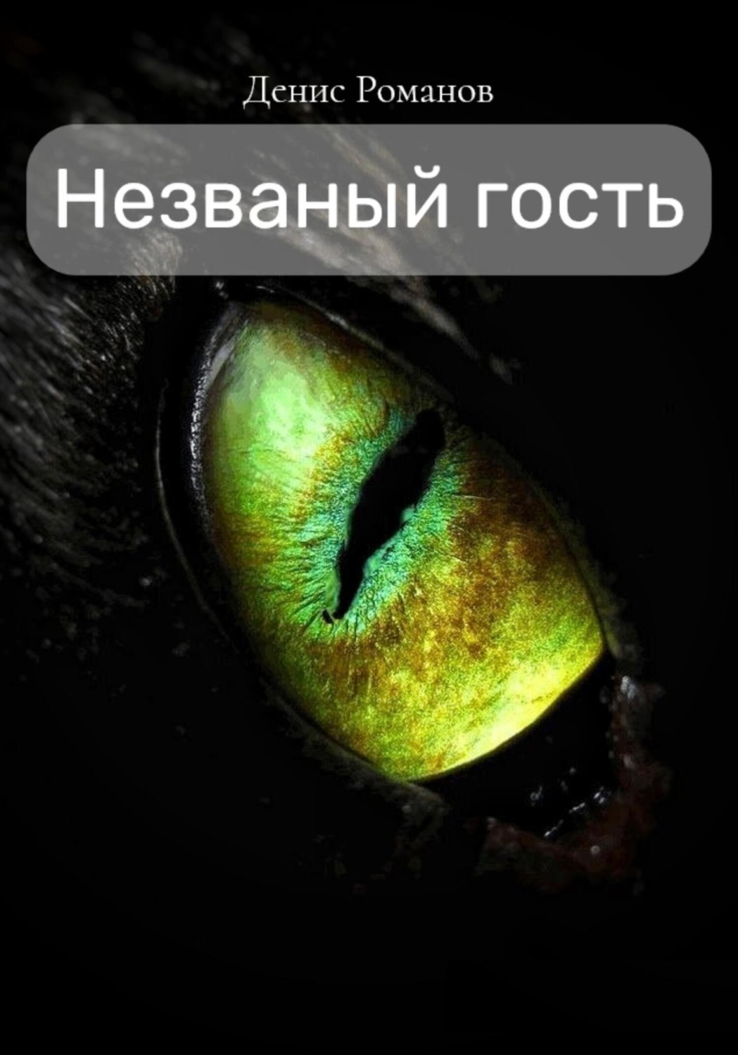 Обложка книги «Незваный гость»