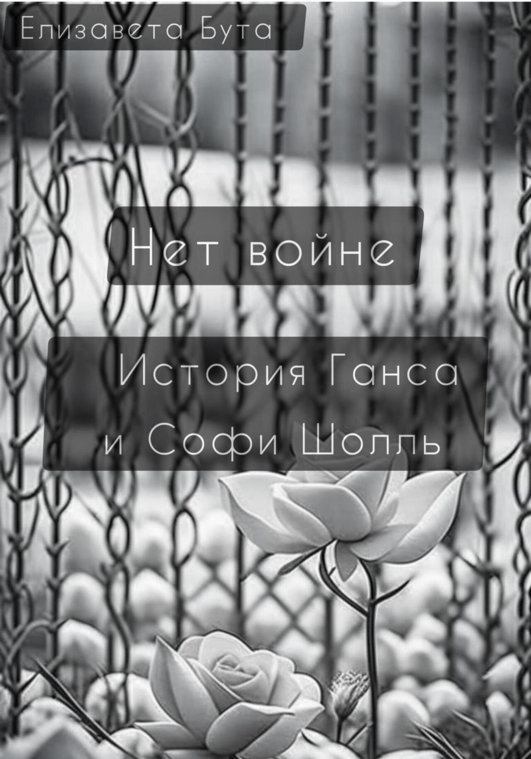 Обложка книги «Нет войне. История Ганса и Софи Шолль»