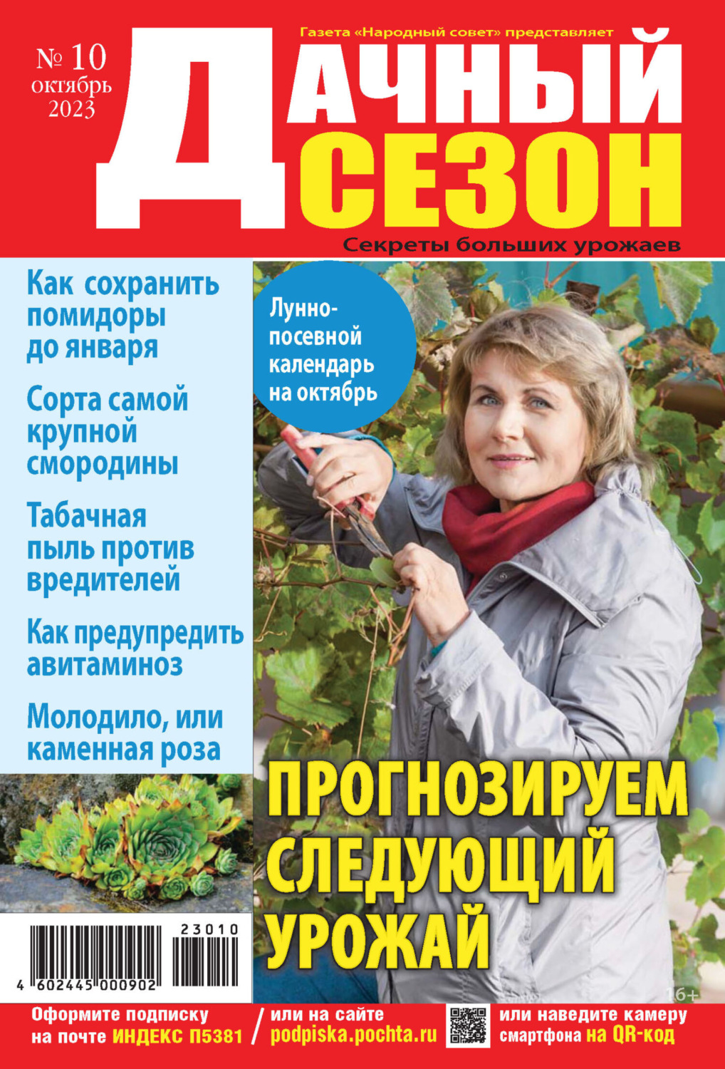 Обложка книги «Дачный сезон №10/2023»
