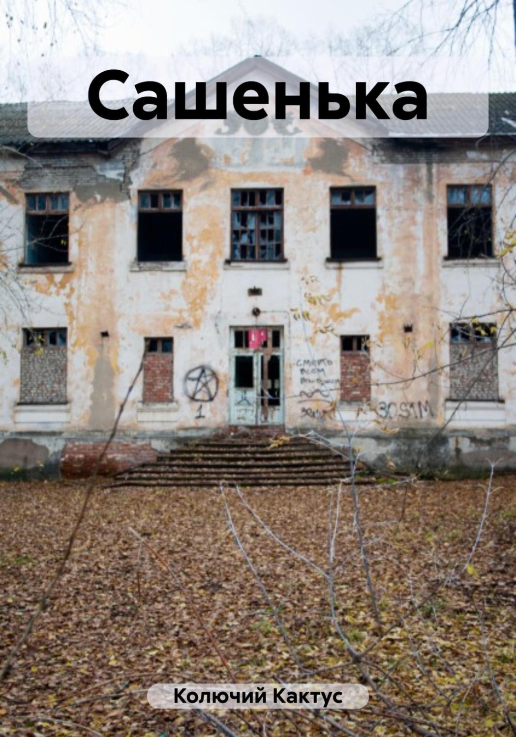 Обложка книги «Сашенька»