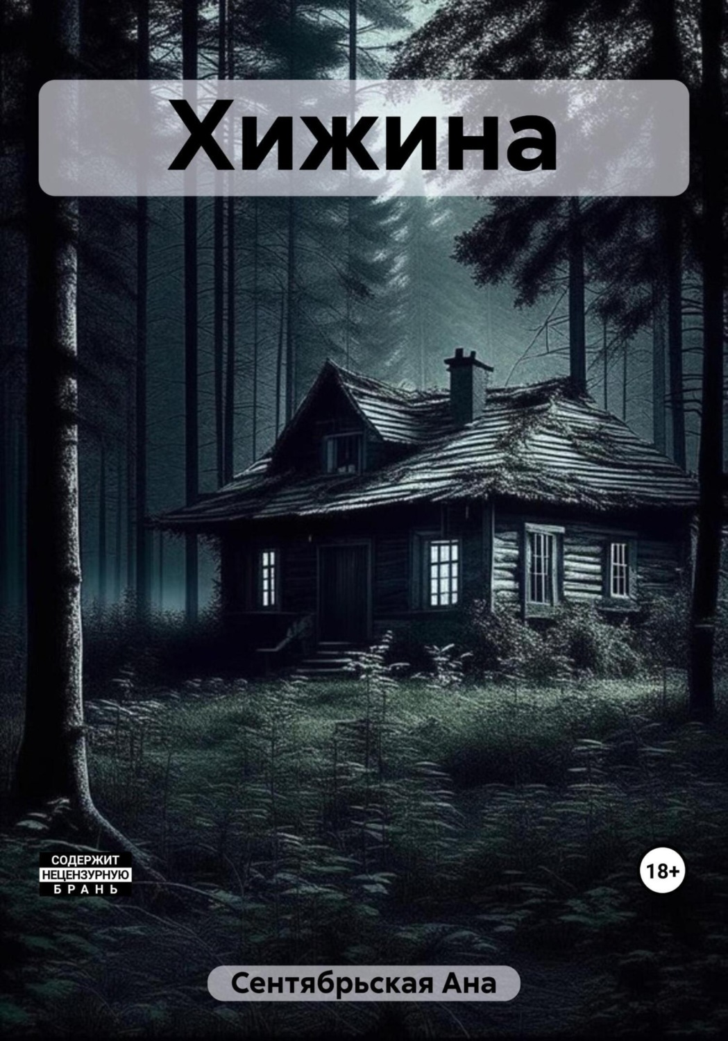 Обложка книги «Хижина»