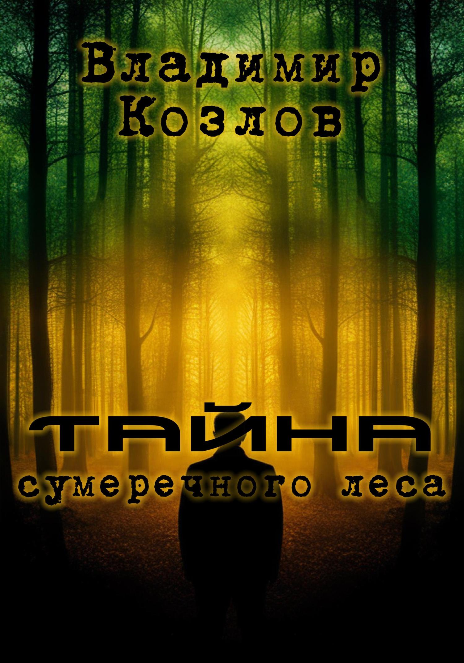 Обложка книги «Тайна сумеречного леса»