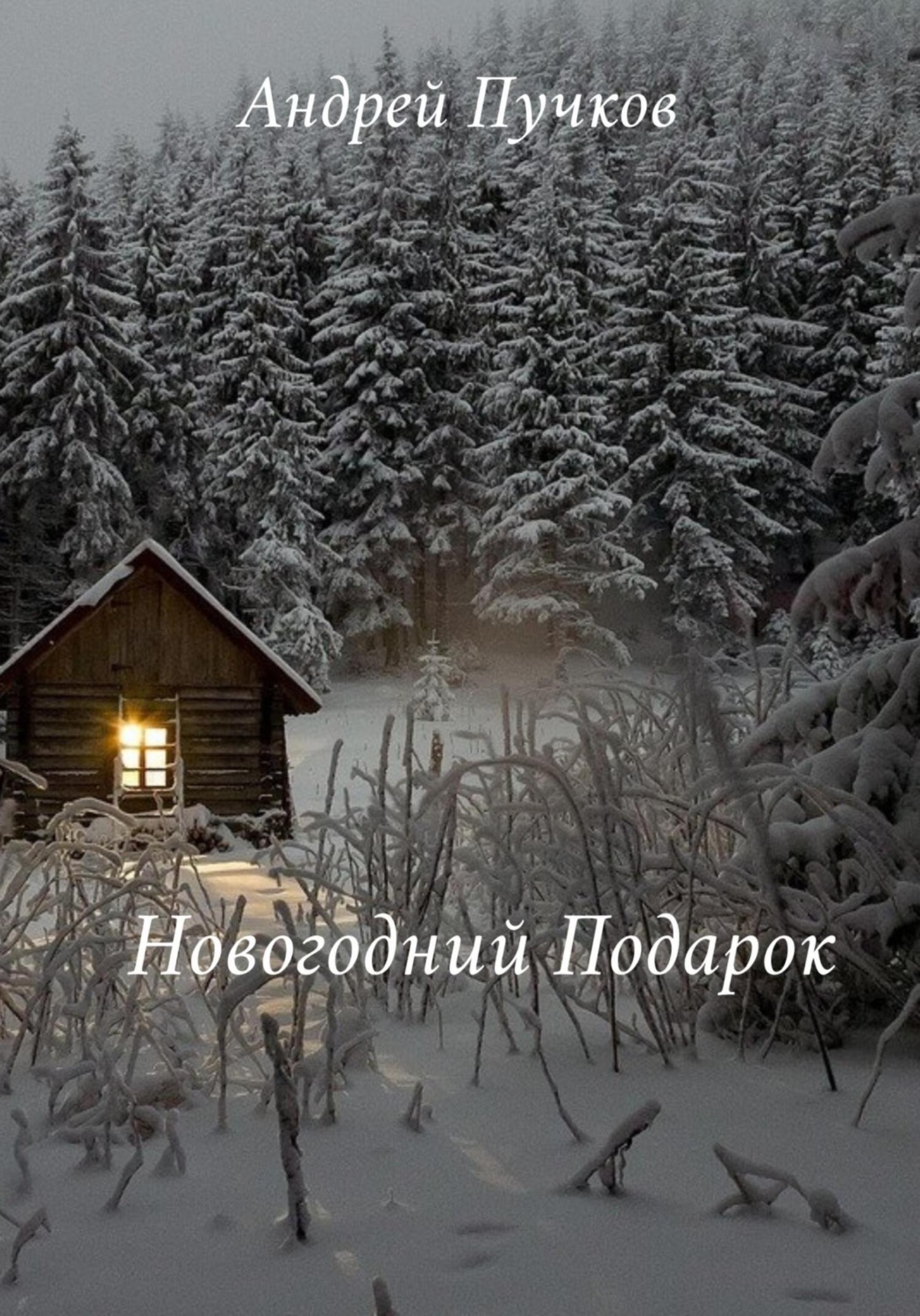 Обложка книги «Новогодний подарок»