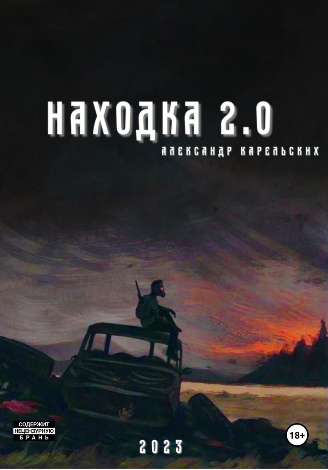Обложка книги «Находка 2.0»