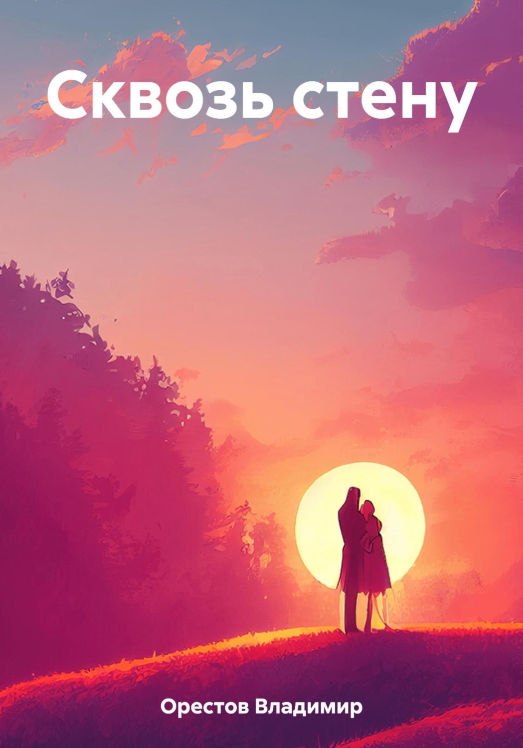 Обложка книги «Сквозь стену»