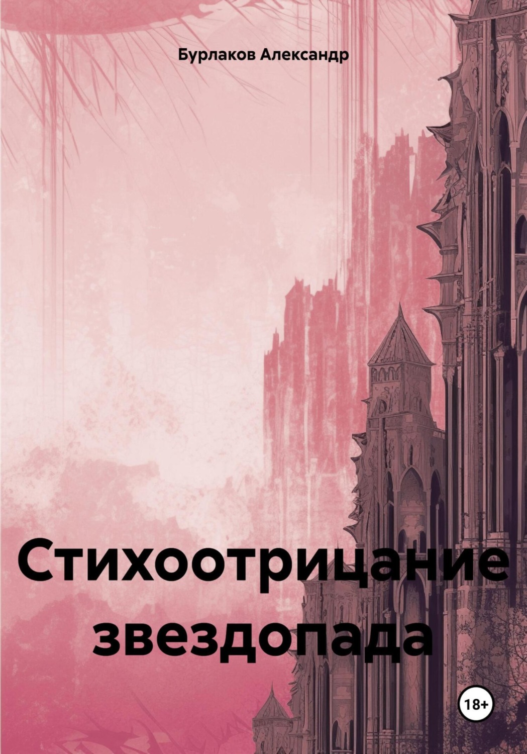 Обложка книги «Стихоотрицание звездопада»
