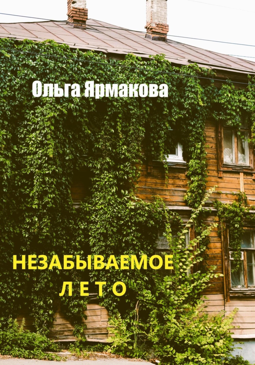 Обложка книги «Незабываемое лето»