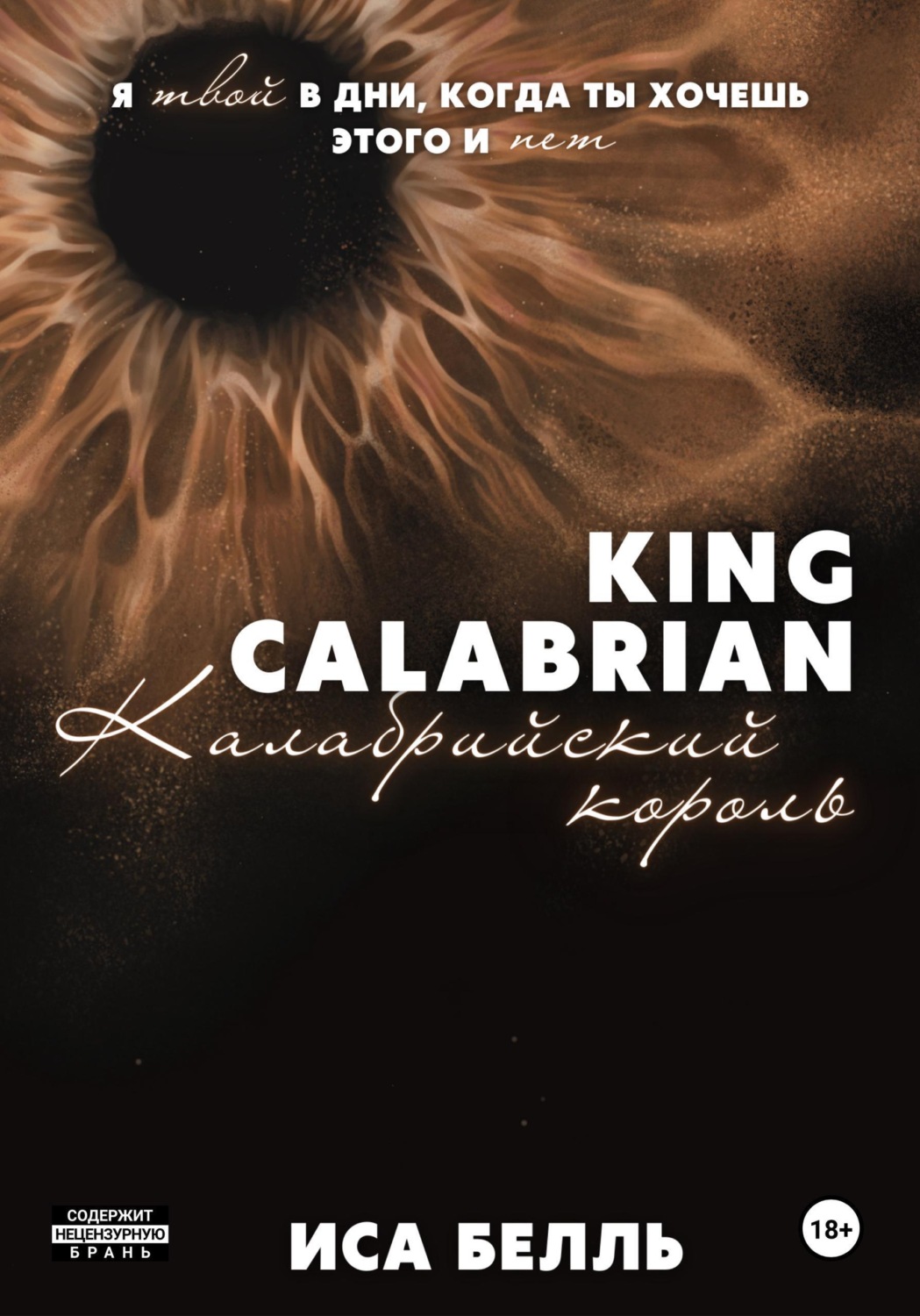 Обложка книги «Калабрийский король»