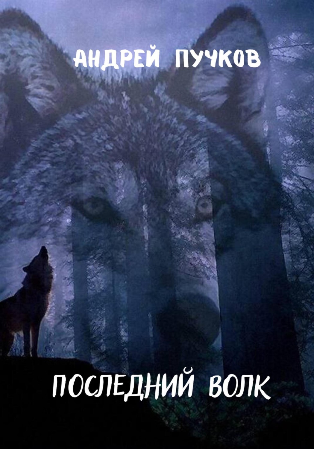 Обложка книги «Последний волк»