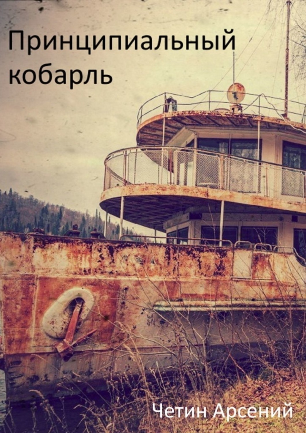 Обложка книги «Принципиальный корабль»