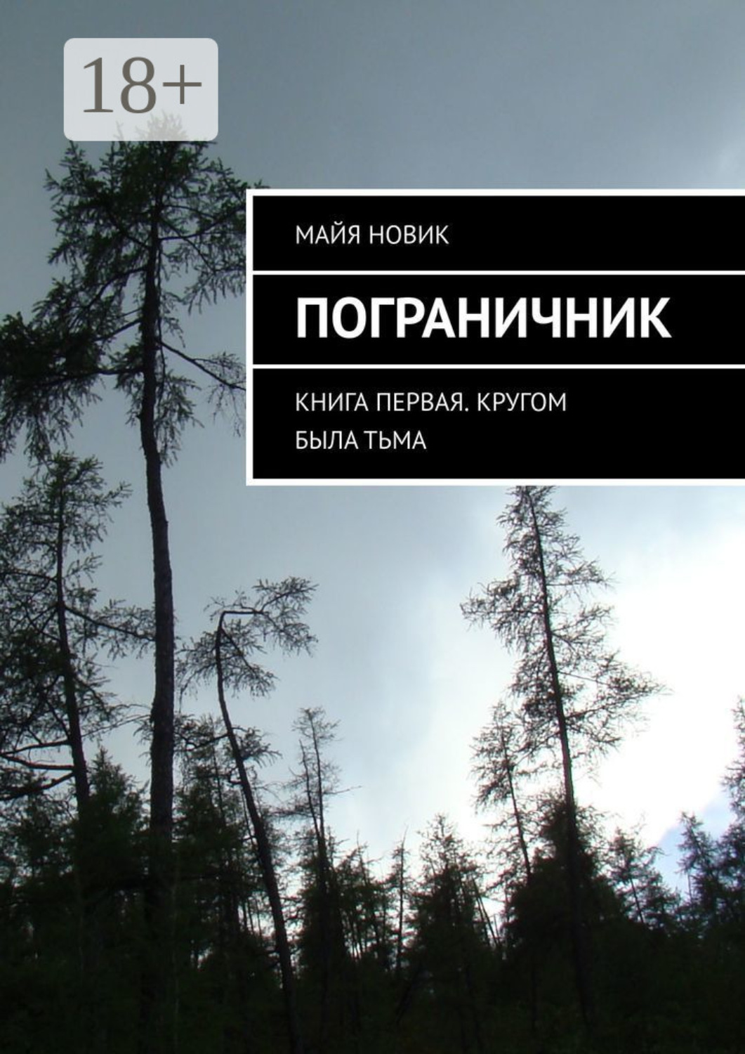 Обложка книги «Пограничник. Книга первая. Кругом была тьма»