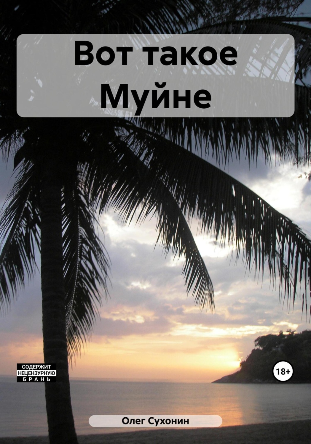 Обложка книги «Вот такое Муйне»