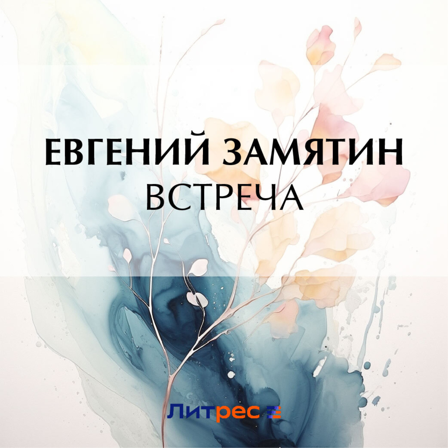 Обложка книги «Встреча»