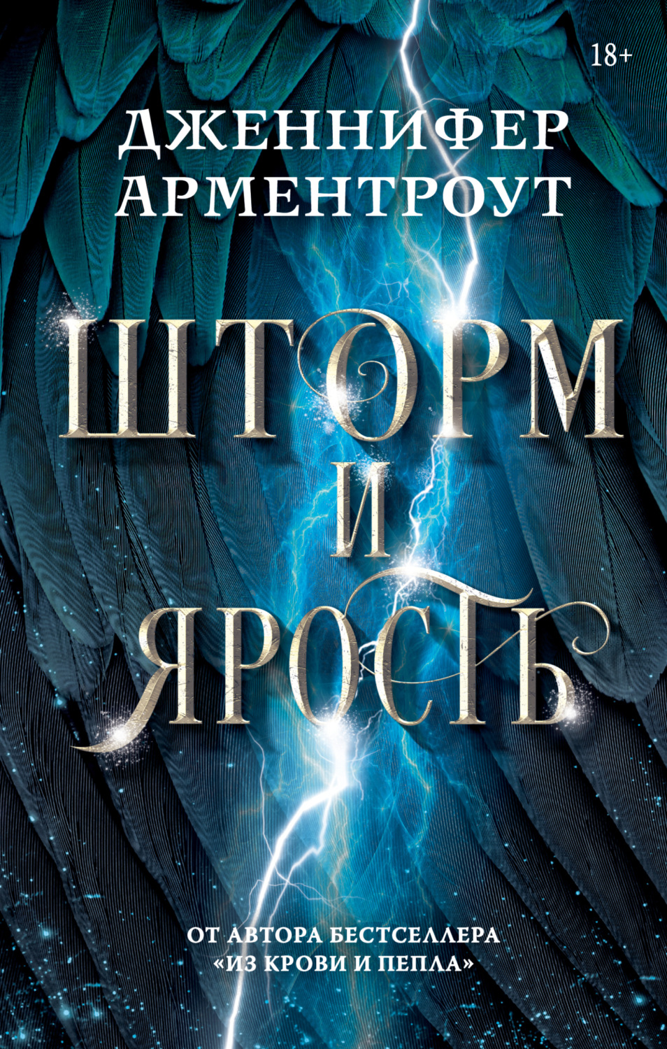 Обложка книги «Шторм и ярость»
