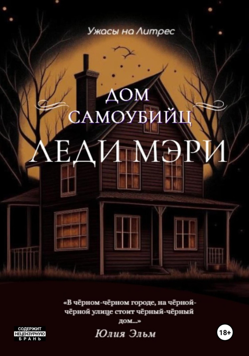 Обложка книги «Дом самоубийц леди Мэри»