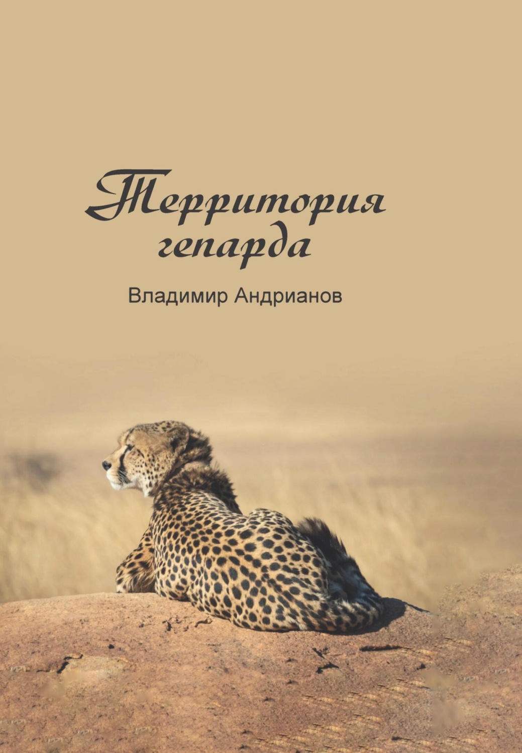 Обложка книги «Территория гепарда»