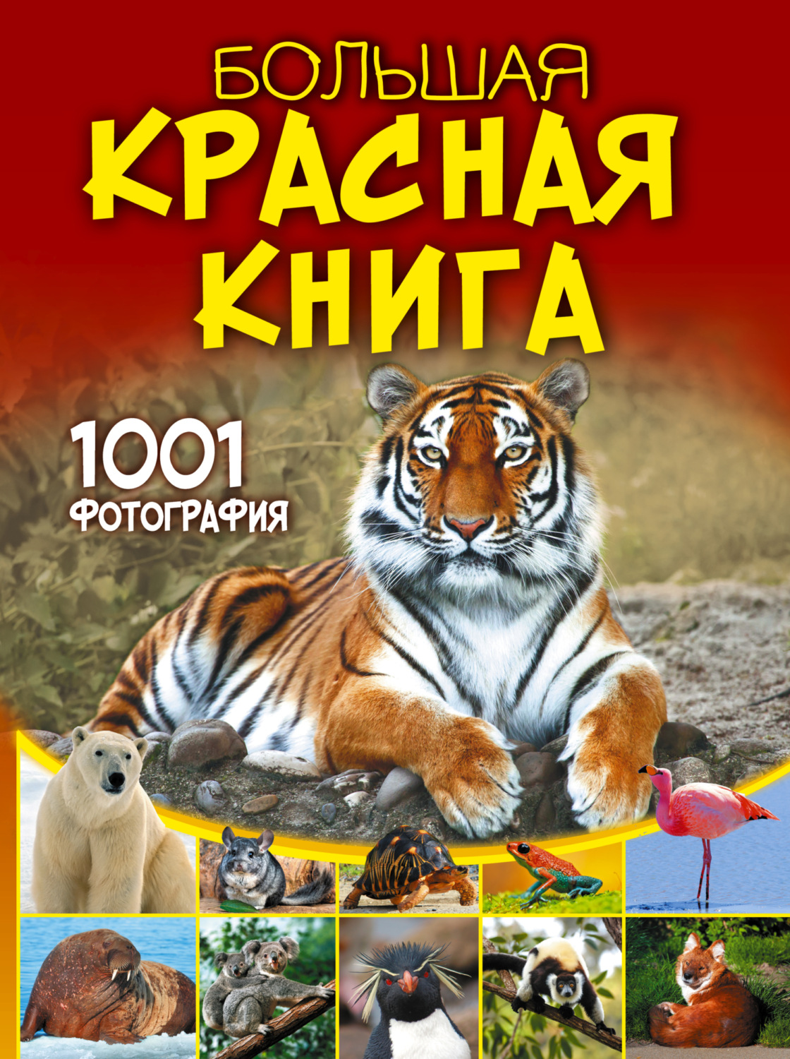 Обложка книги «Большая красная книга. 1001 фотография»