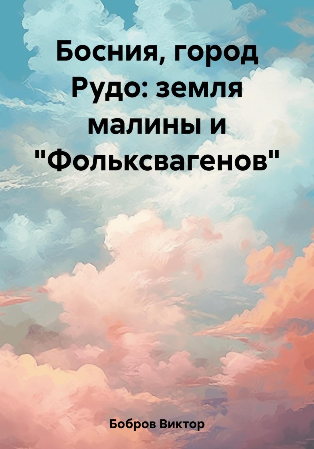 Обложка книги «Босния, город Рудо: земля малины и «Фольксвагенов»»