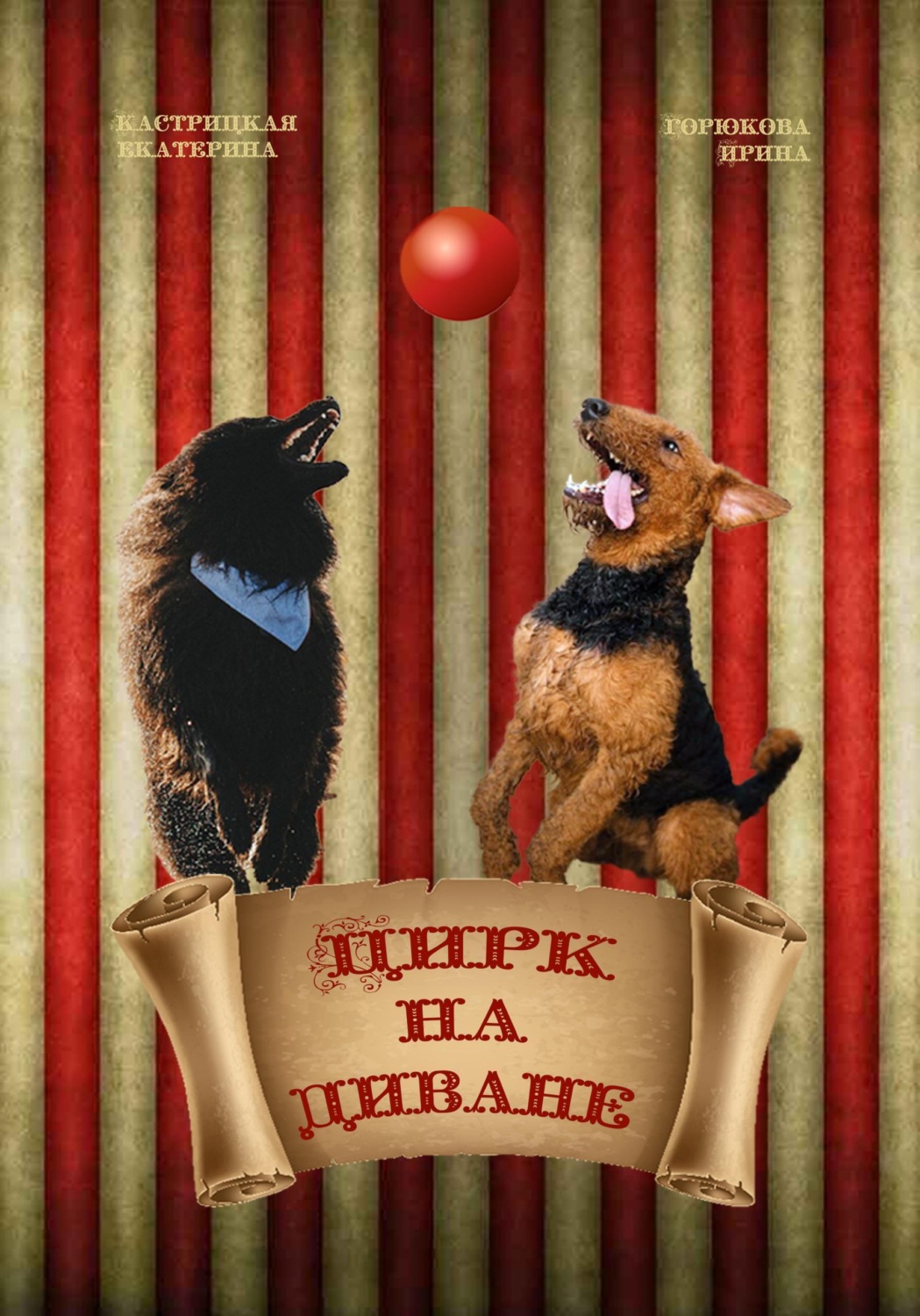 Обложка книги «Цирк на диване»