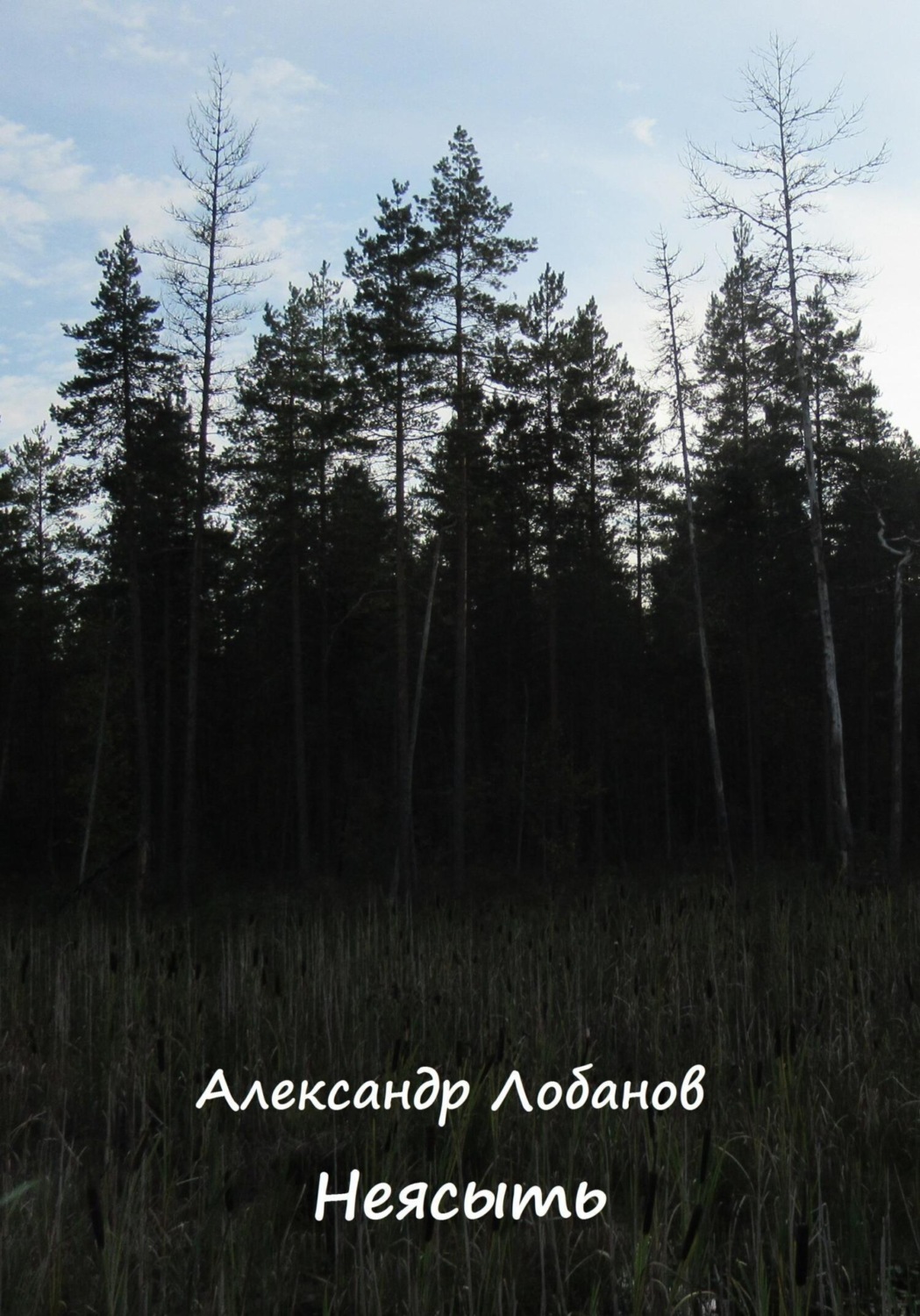 Обложка книги «Неясыть»