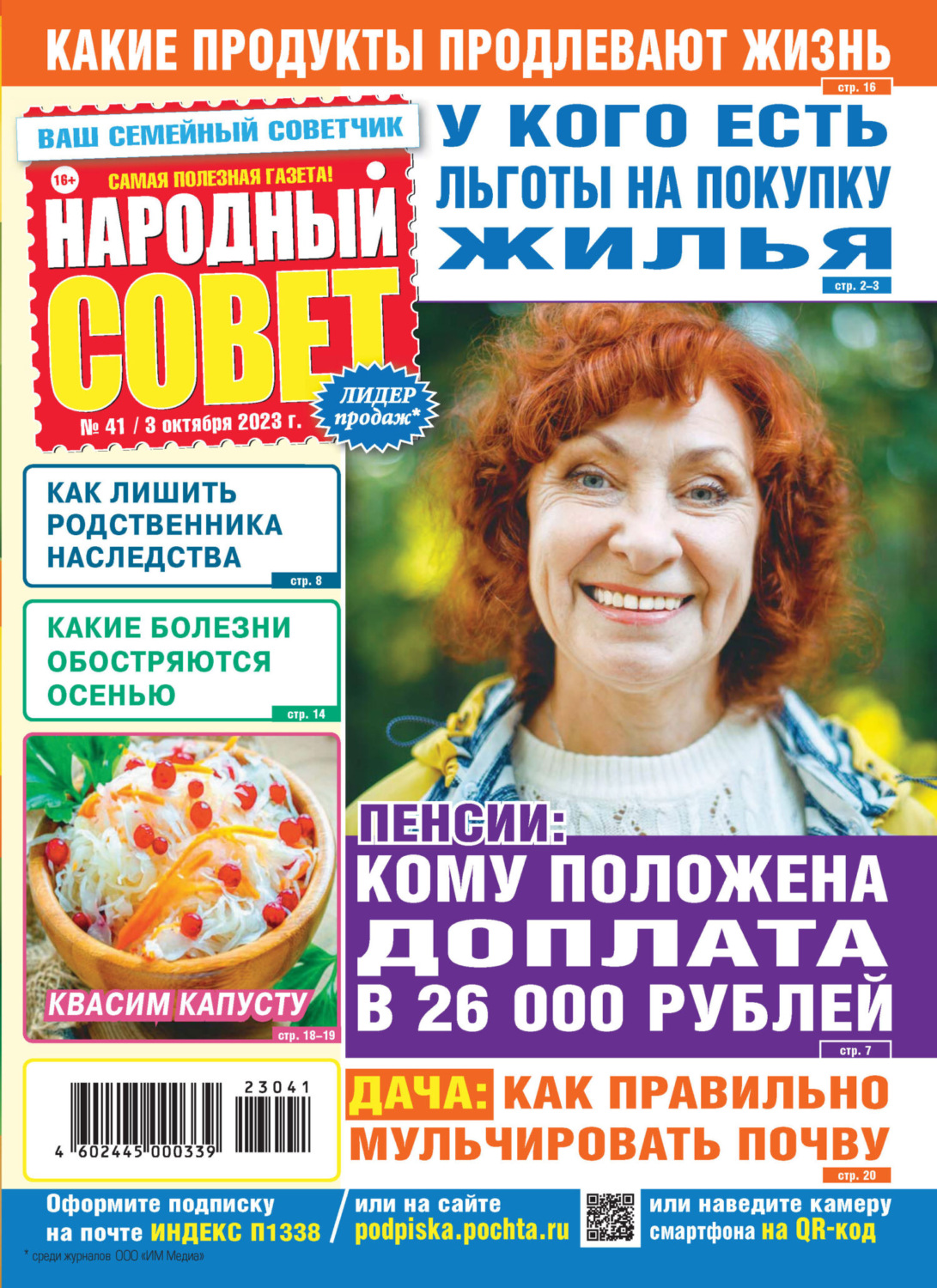 Обложка книги «Народный совет №41/2023»
