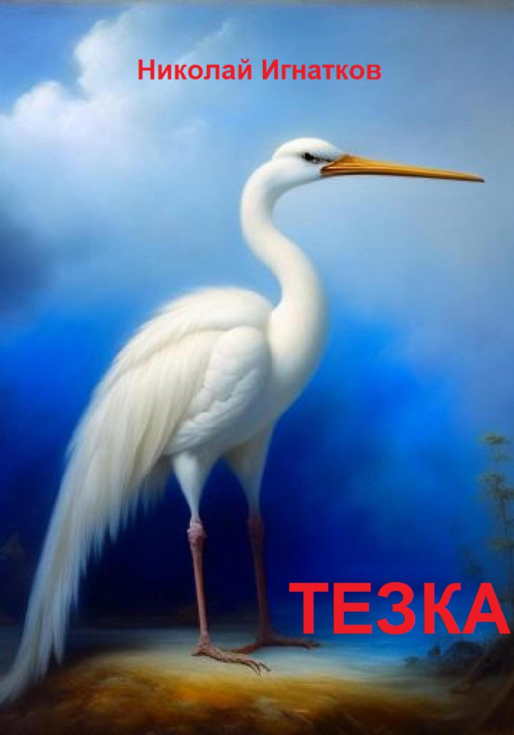 Обложка книги «Тезка»