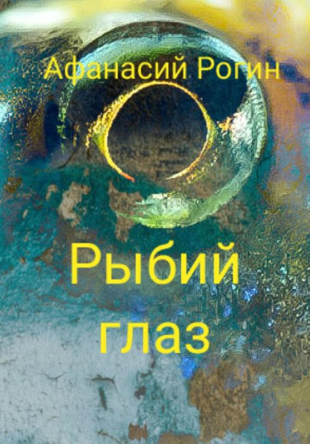 Обложка книги «Рыбий глаз»
