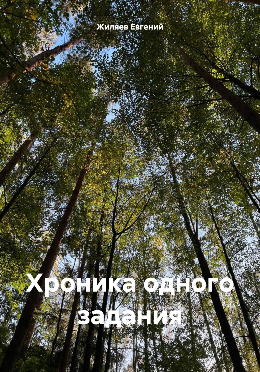 Обложка книги «Хроника одного задания»