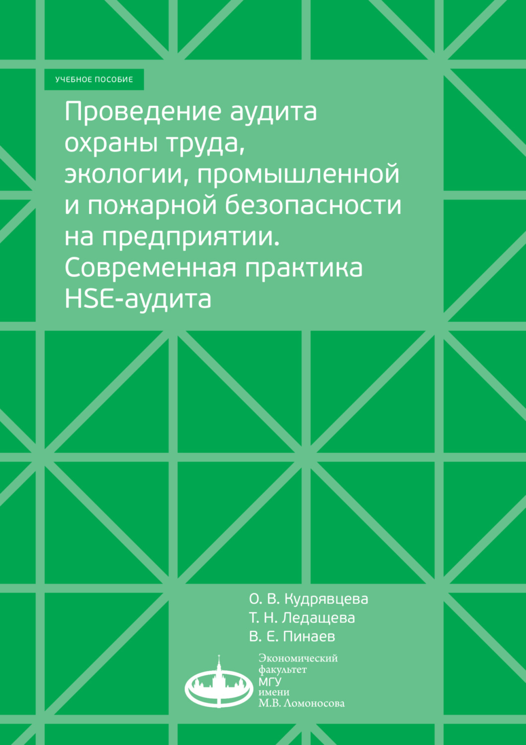 Обложка книги «Проведение аудита охраны труда, экологии, промышленной и пожарной безопасности на предприятии. Современная практика HSE-аудита»