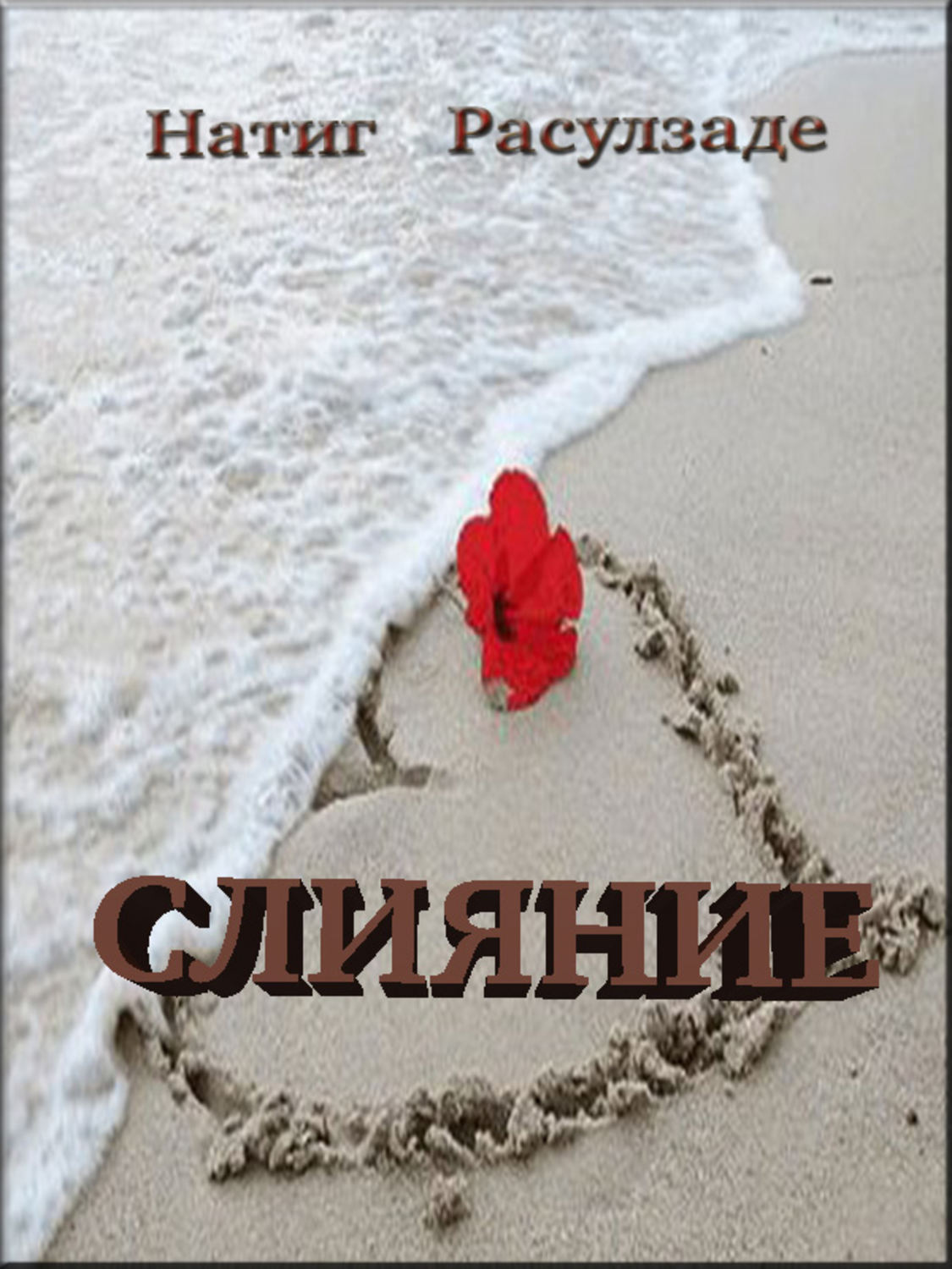 Обложка книги «Слияние»