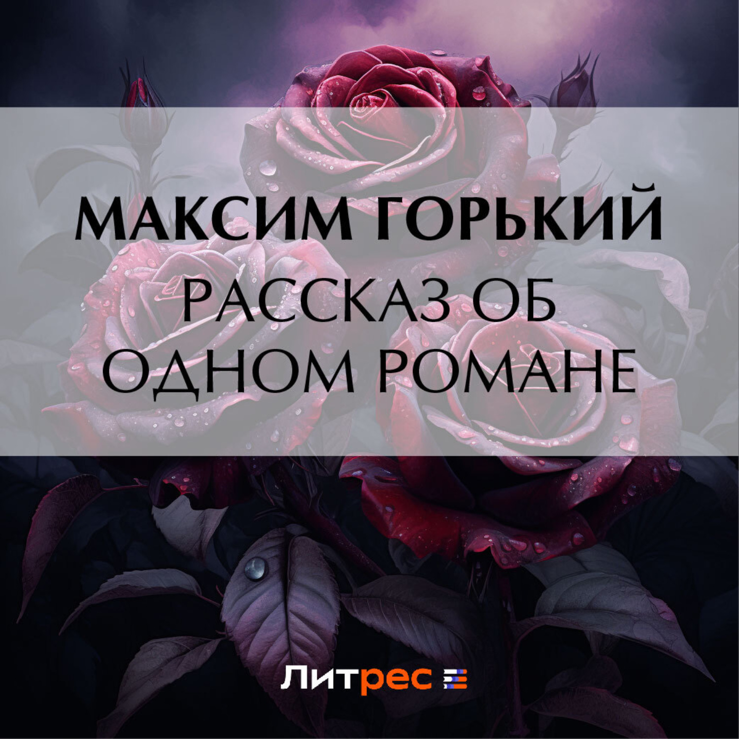 Обложка книги «Рассказ об одном романе»