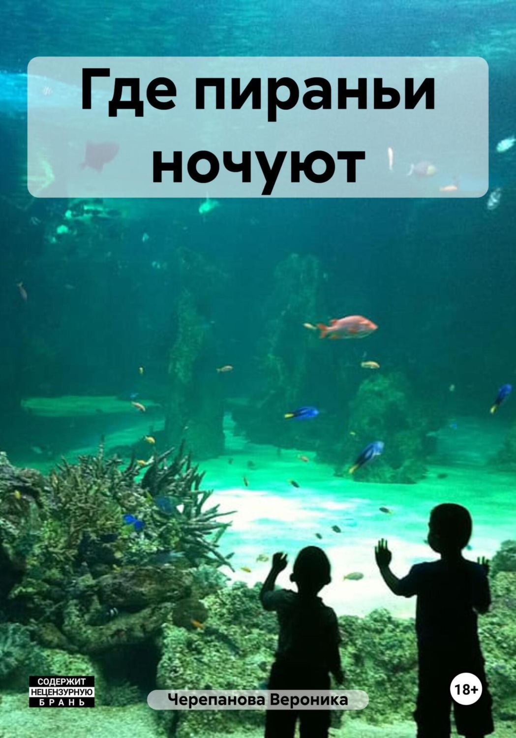 Обложка книги «Где пираньи ночуют»