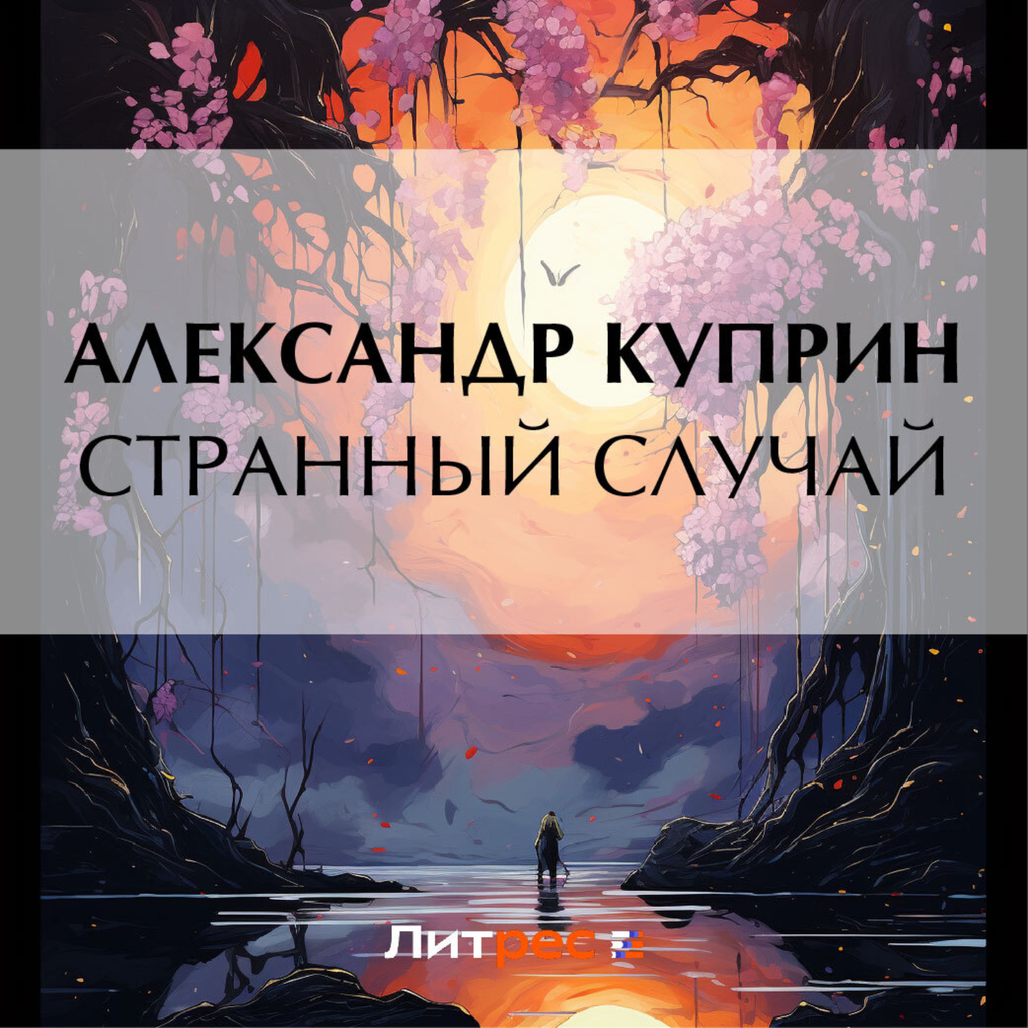 Обложка книги «Странный случай»