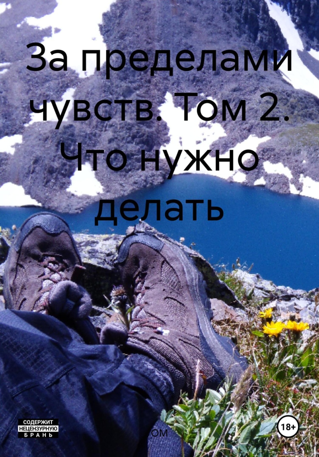 Обложка книги «За пределами чувств. Том 2. Что нужно делать»