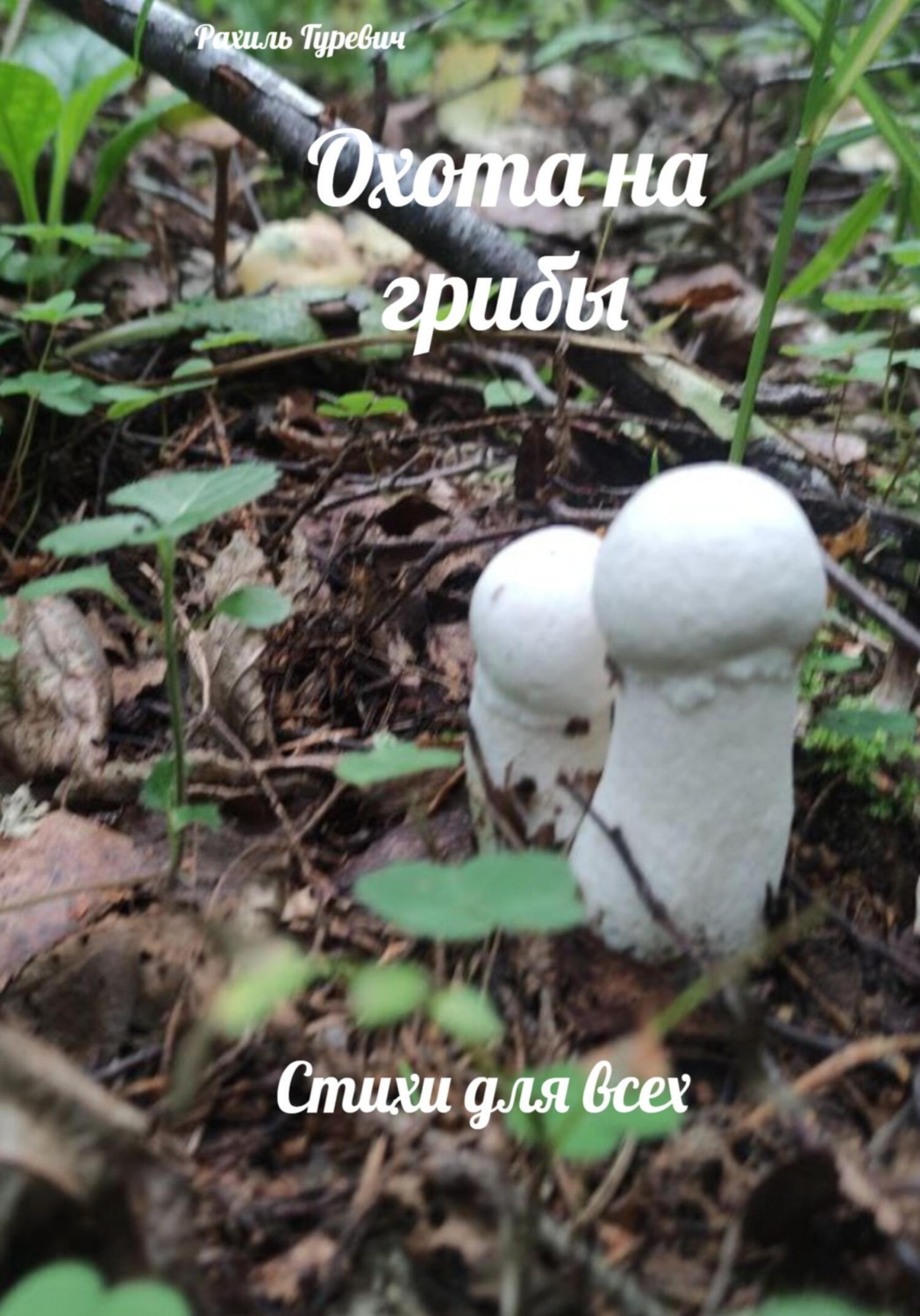 Обложка книги «Охота на грибы»