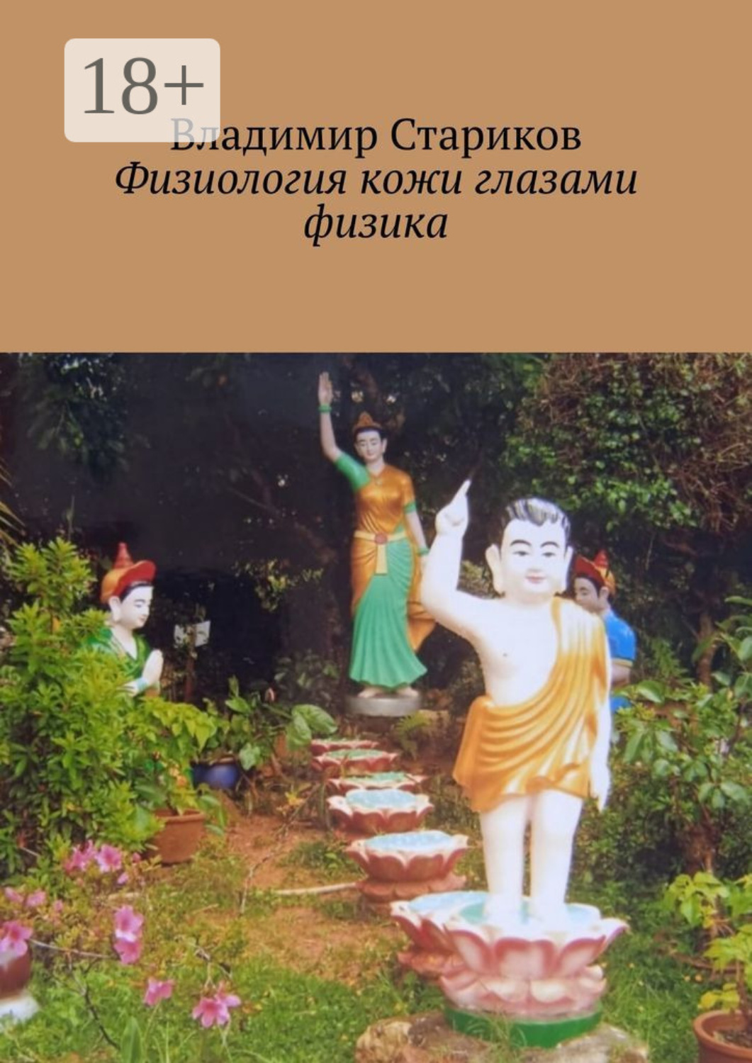 Обложка книги «Физиология кожи глазами физика»