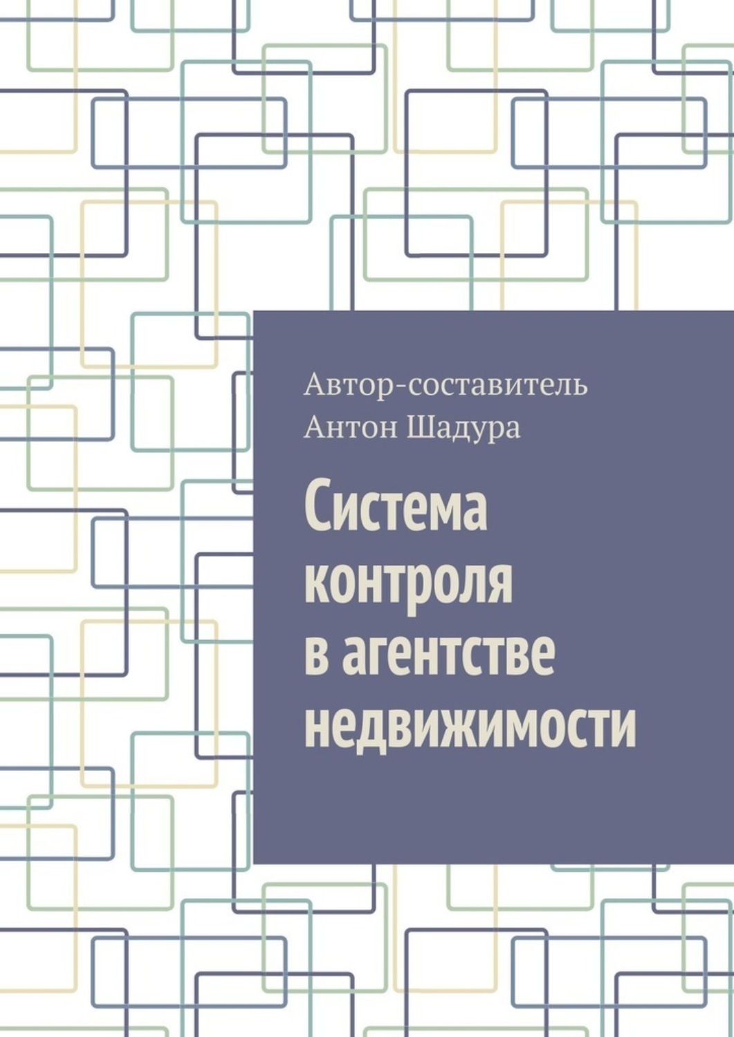 Обложка книги «Система контроля в агентстве недвижимости»