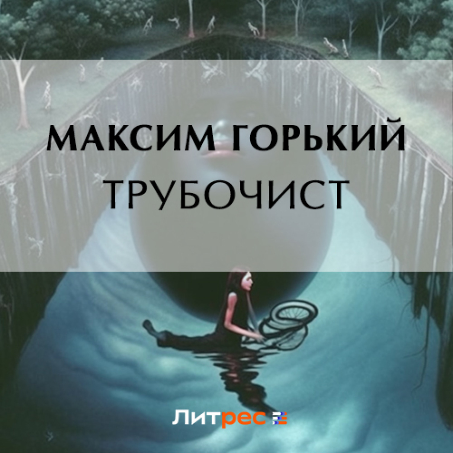 Обложка книги «Трубочист»