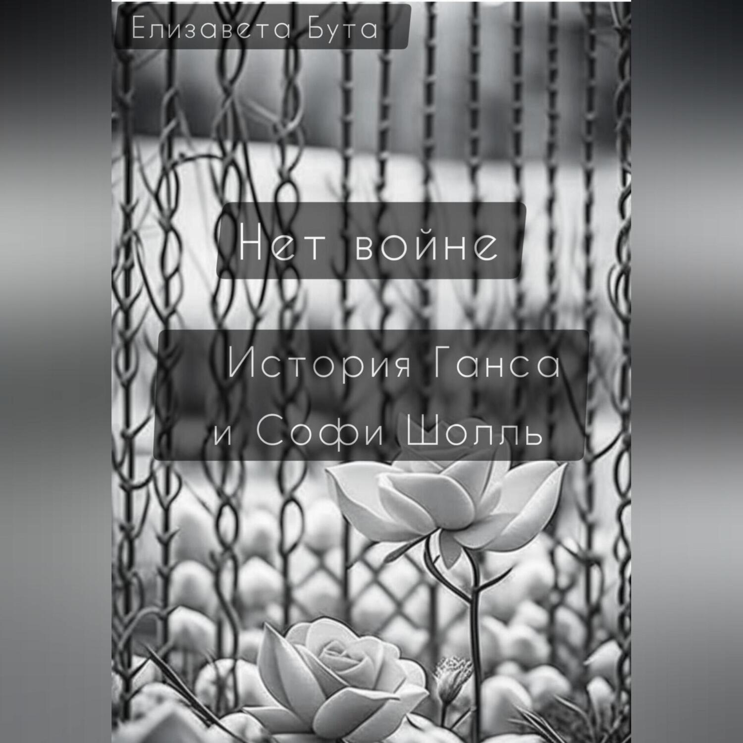 Обложка книги «Нет войне. История Ганса и Софи Шолль»