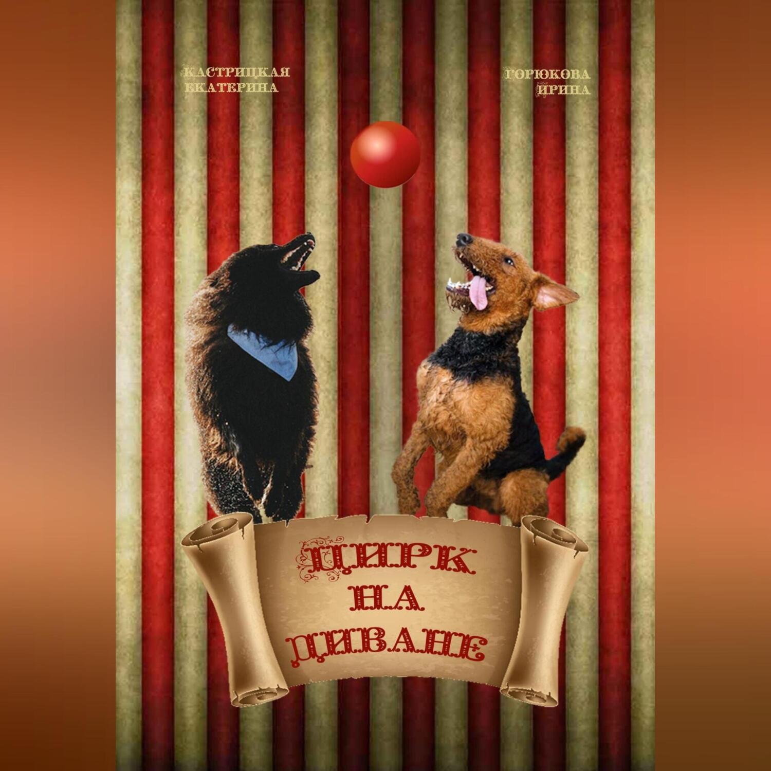 Обложка книги «Цирк на диване»
