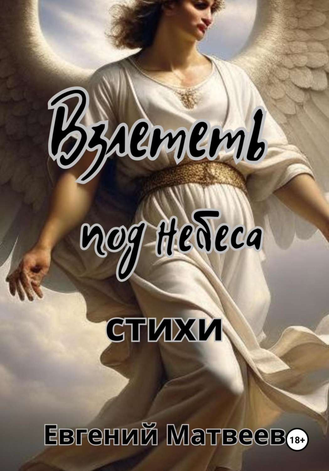 Обложка книги «Взлететь под небеса»