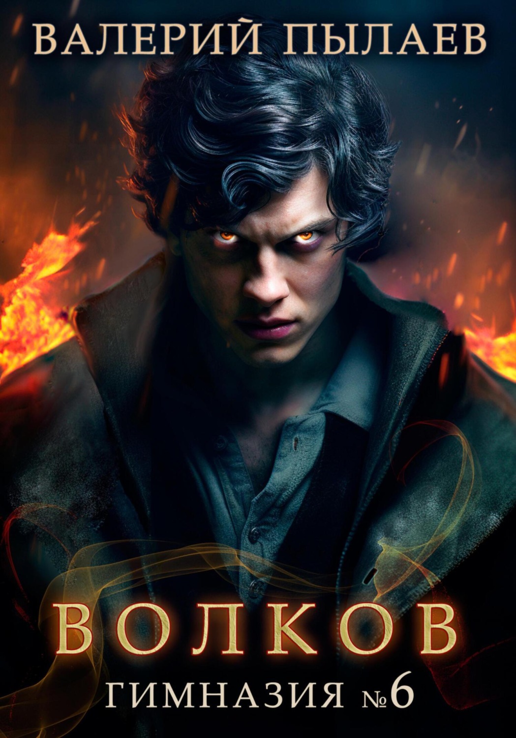 Обложка книги «Волков. Гимназия №6»